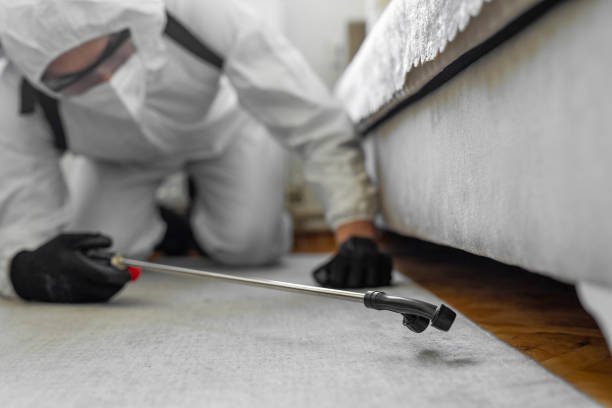 Professional Termite Control technician working in Kingston, WA