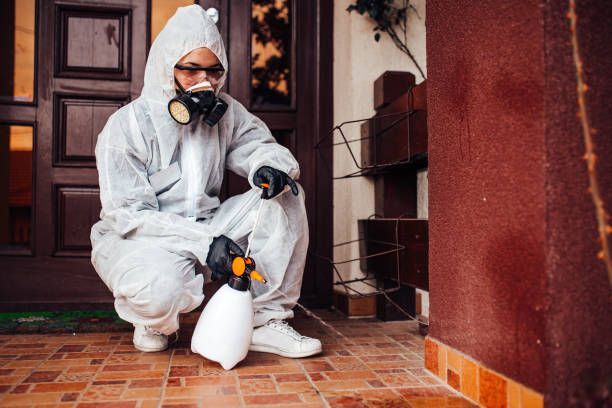 Reliable Termite Control contractor in Kingston, WA by Nex Pest Control